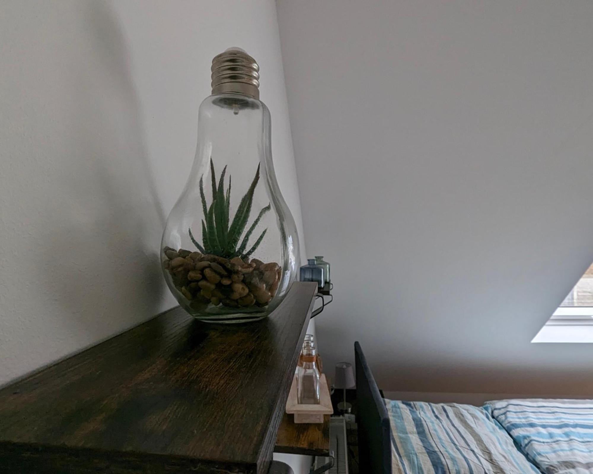 Rheinische Gemuetlichkeit, Sali Homes Zentrales Heim In Kleve كليفي المظهر الخارجي الصورة